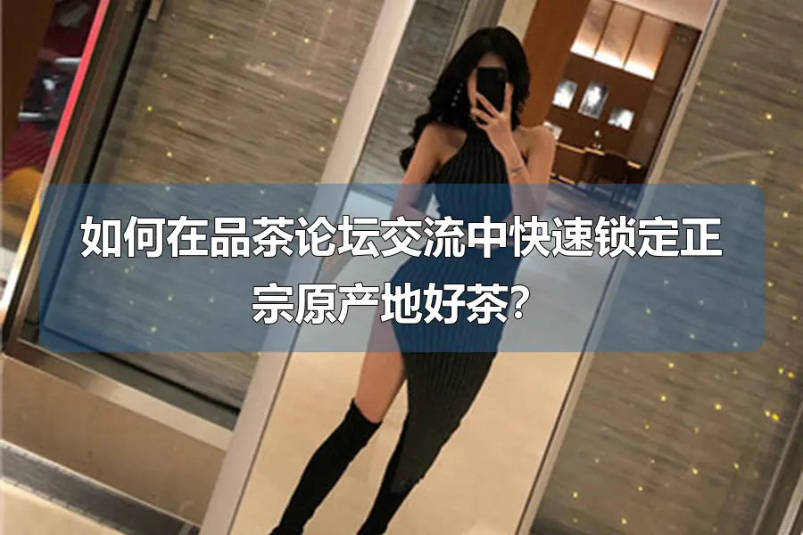 如何在品茶论坛交流中快速锁定正宗原产地好茶？